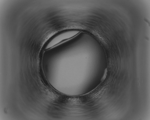 X0000091640440200709131434