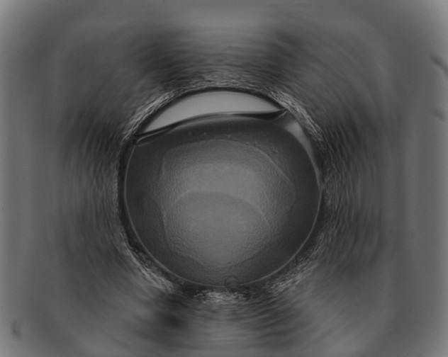 X0000091640442200709131434