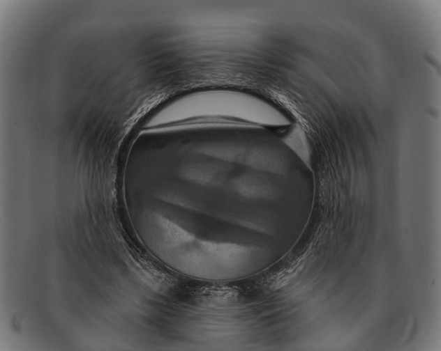 X0000091640443200709131434