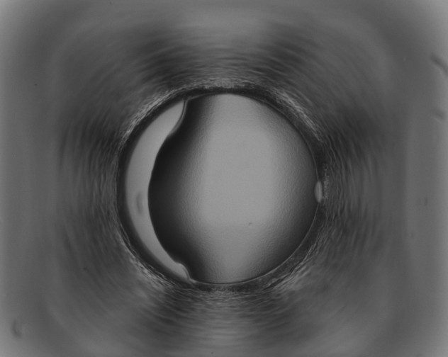X0000091640444200709131434