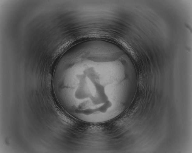 X0000091640445200709131434
