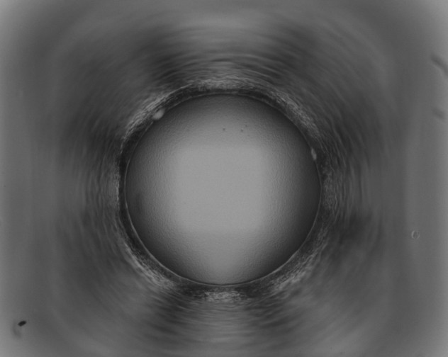 X0000091640446200709131434