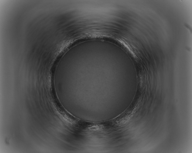 X0000091640447200709131434