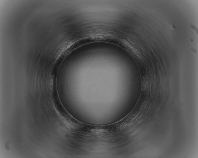 X0000091640448200709131434