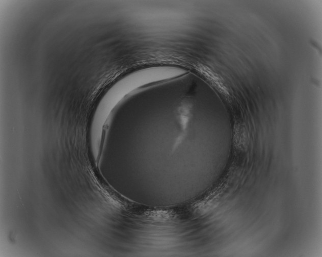 X0000091640449200709131434