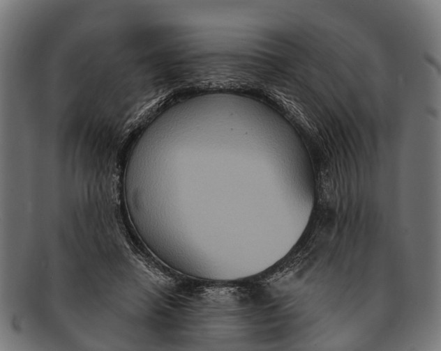 X0000091640450200709131434