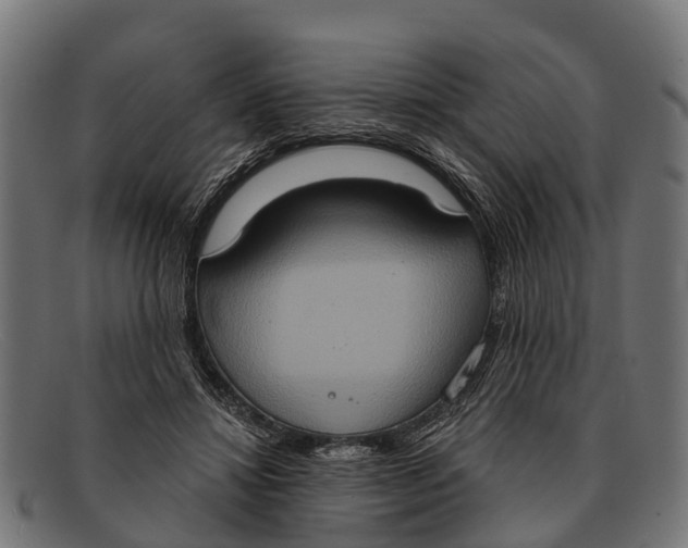 X0000091640452200709131434