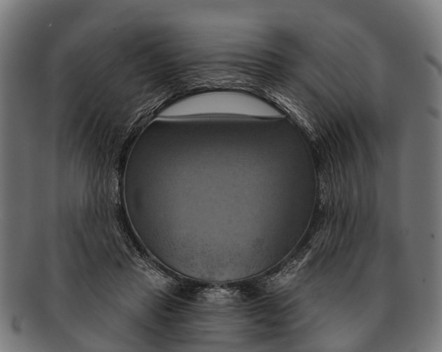 X0000091640453200709131434