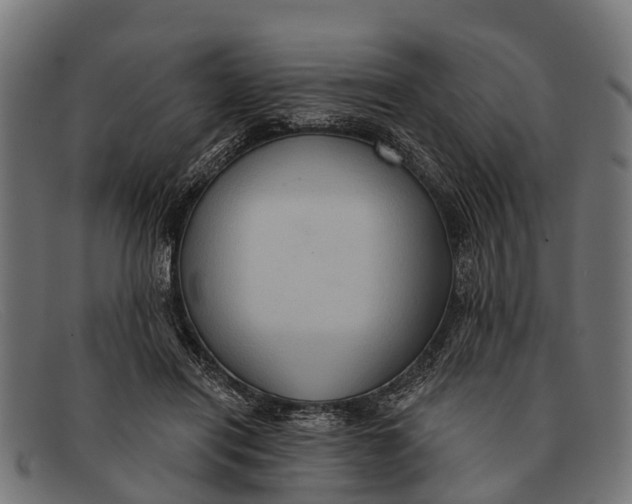 X0000091640454200709131434