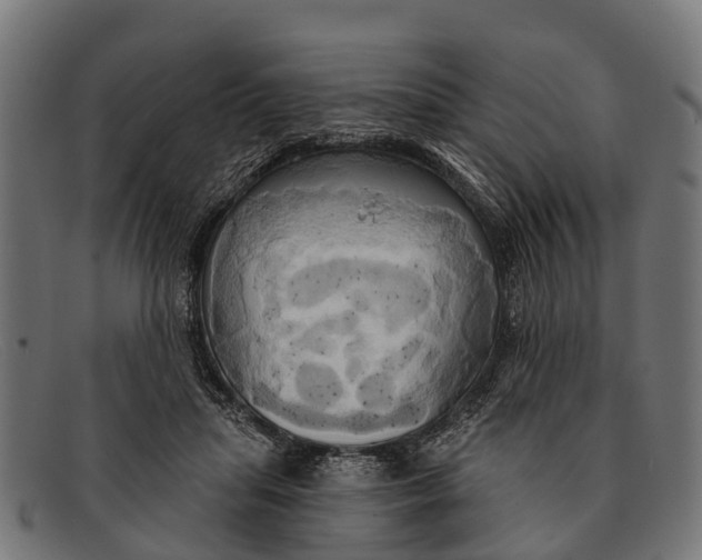 X0000091640455200709131434