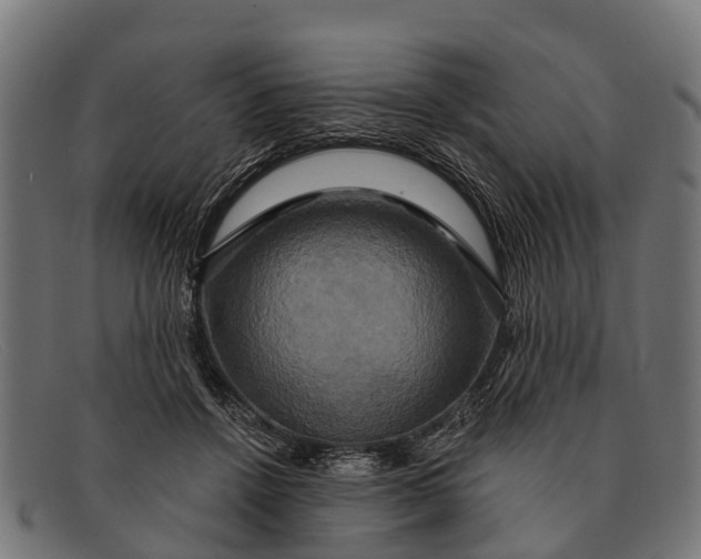 X0000091640456200709131434