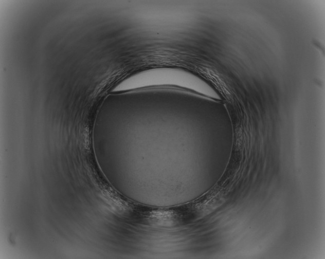 X0000091640457200709131434