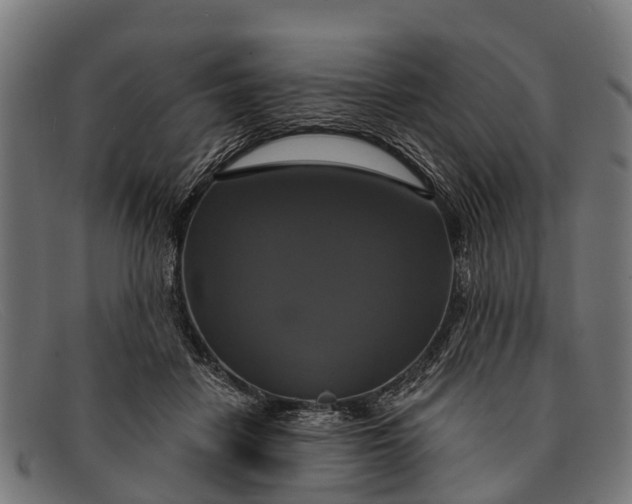 X0000091640458200709131434