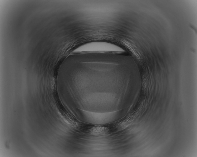 X0000091640459200709131434