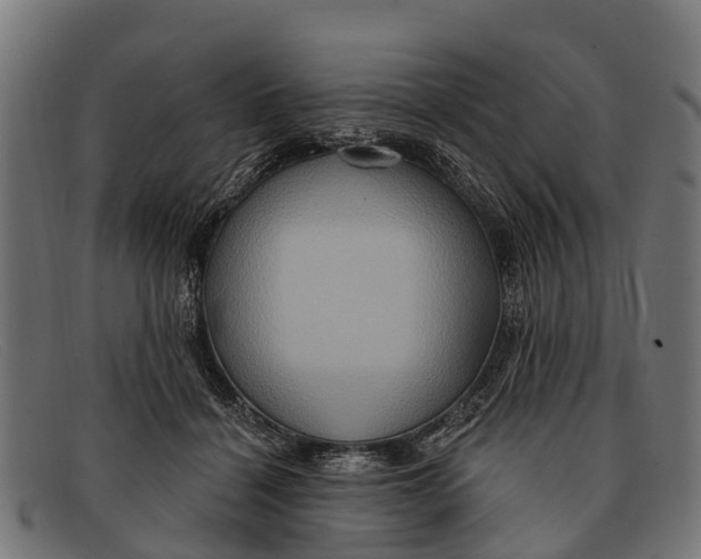 X0000091640460200709131434