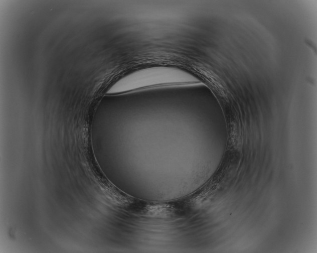 X0000091640461200709131435