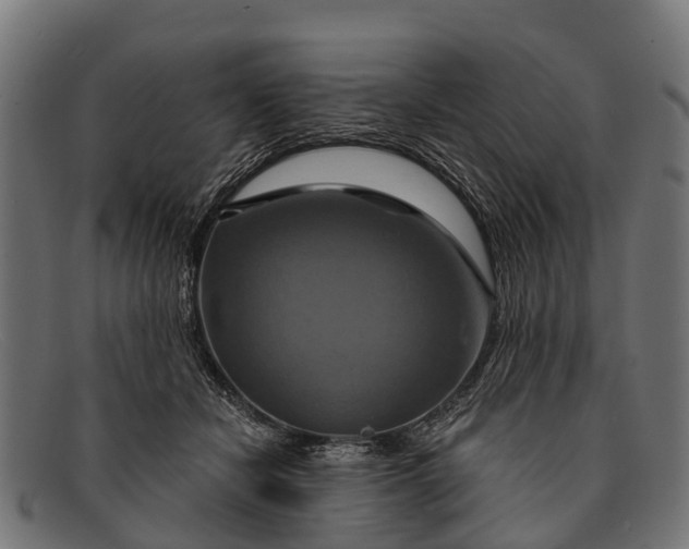 X0000091640462200709131435
