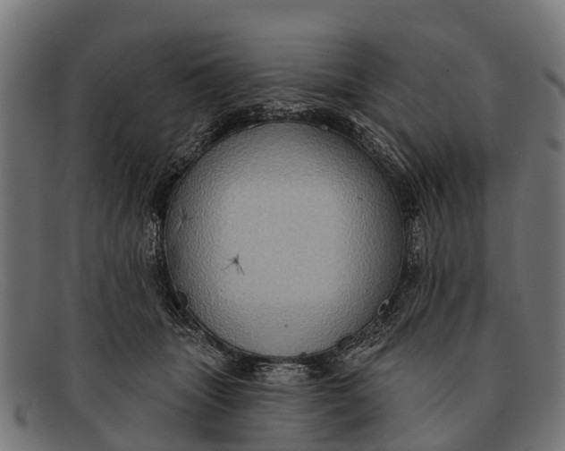 X0000091640463200709131435