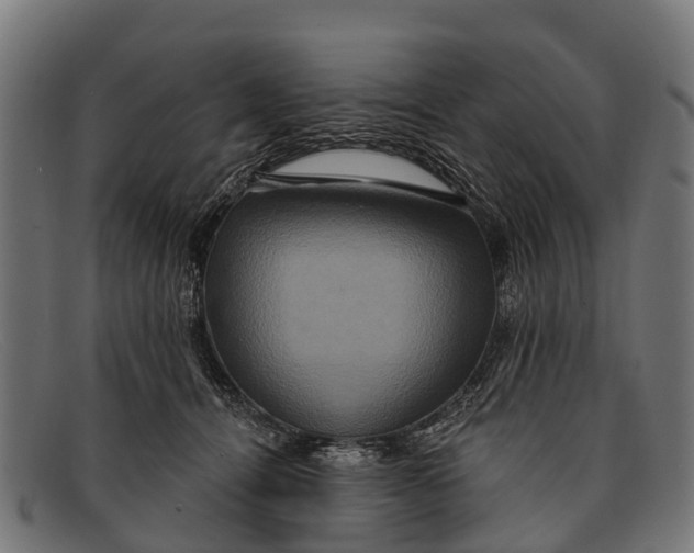 X0000091640464200709131435