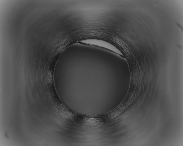X0000091640467200709131435