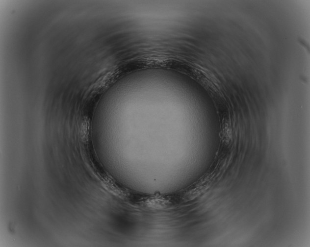 X0000091640468200709131435