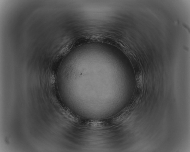 X0000091640472200709131435