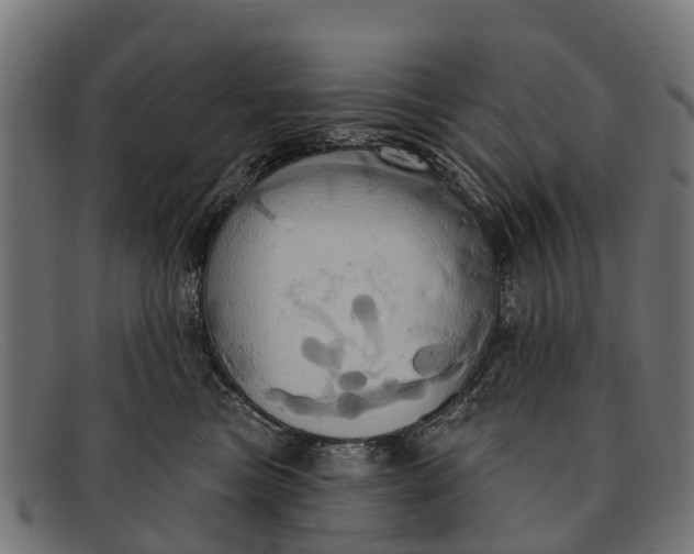 X0000091640473200709131435