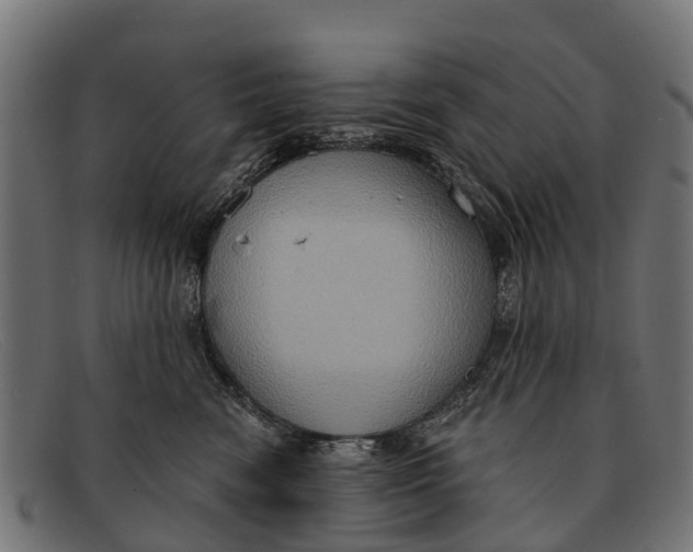 X0000091640474200709131435