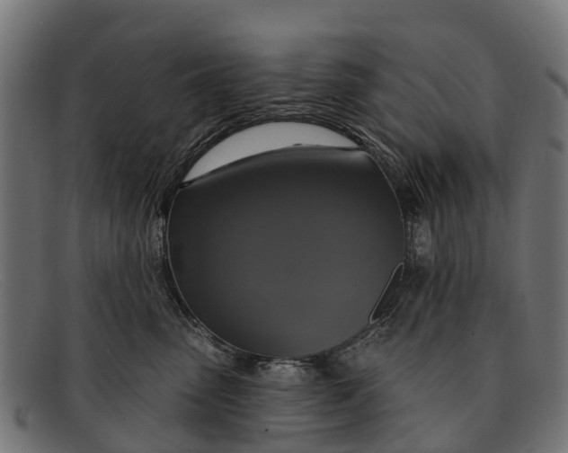 X0000091640475200709131435