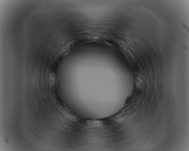 X0000091640476200709131435