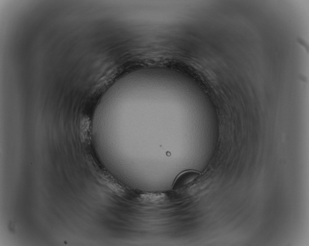 X0000091640480200709131435