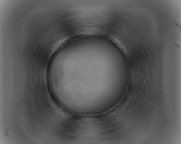X0000091640482200709131434