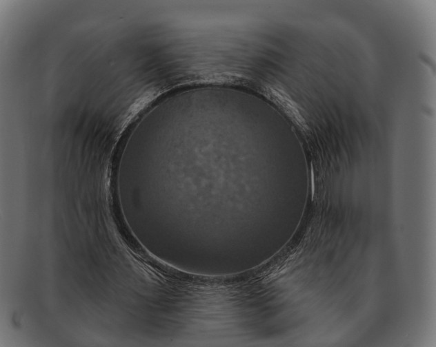 X0000091640483200709131434