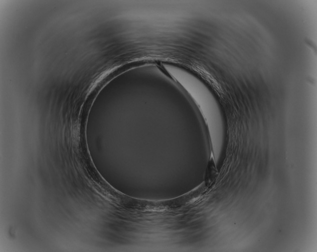 X0000091640484200709131434