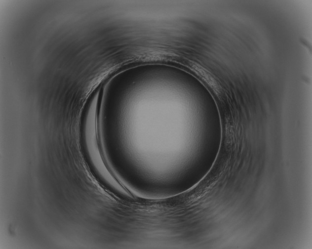 X0000091640485200709131434