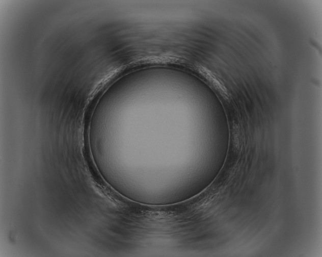 X0000091640486200709131434