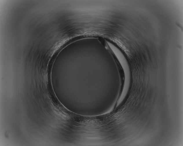 X0000091640488200709131434