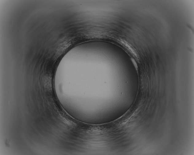 X0000091640489200709131434