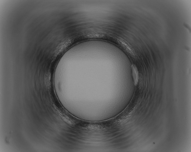 X0000091640490200709131434