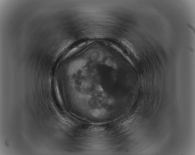 X0000091640491200709131434