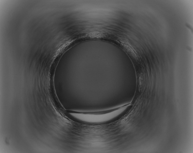 X0000091640492200709131434