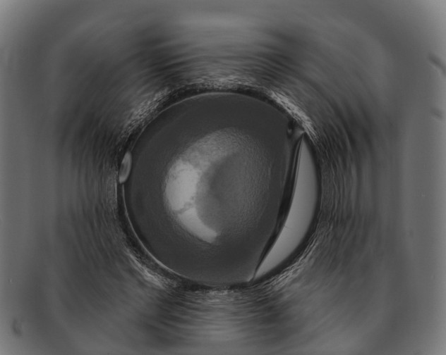 X0000091640493200709131434