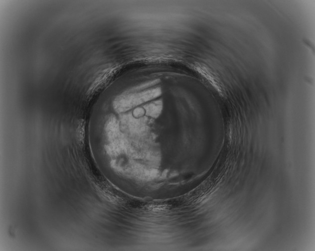 X0000091640495200709131434