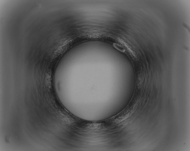X0000091640497200709131434