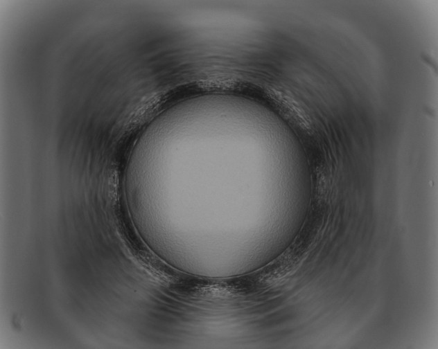 X0000091640498200709131434
