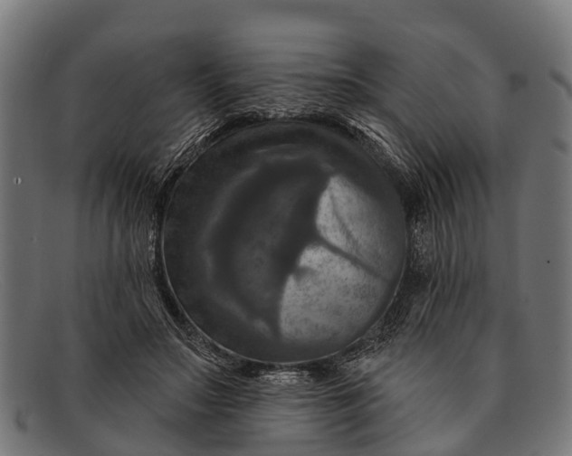 X0000091640499200709131434