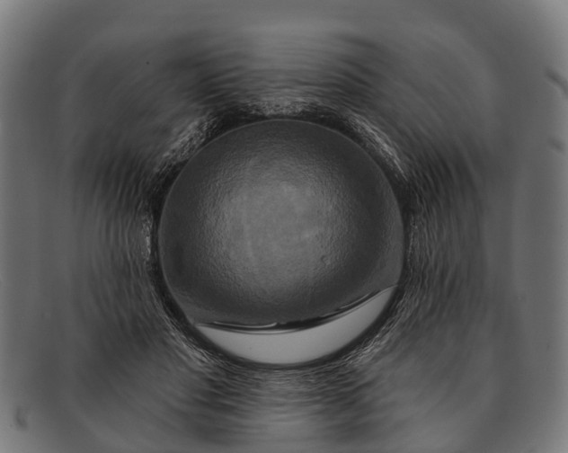 X0000091640501200709131434