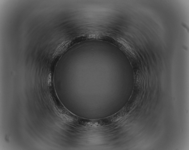 X0000091640502200709131434