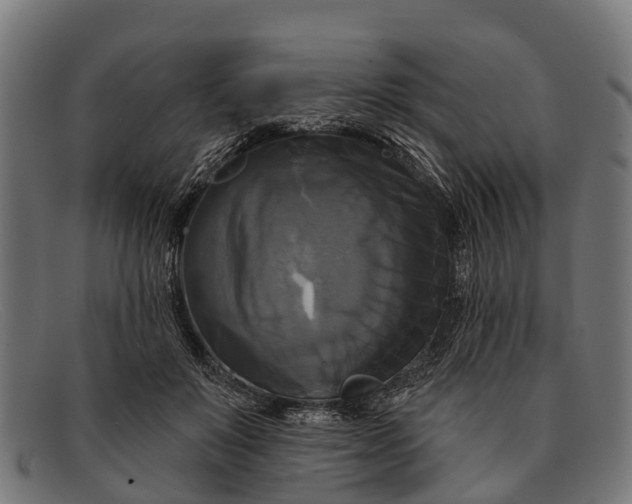 X0000091640503200709131434