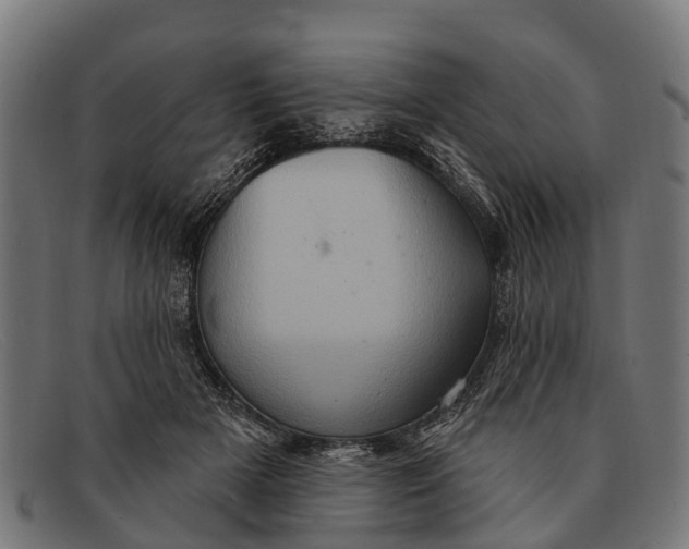 X0000091640505200709131434